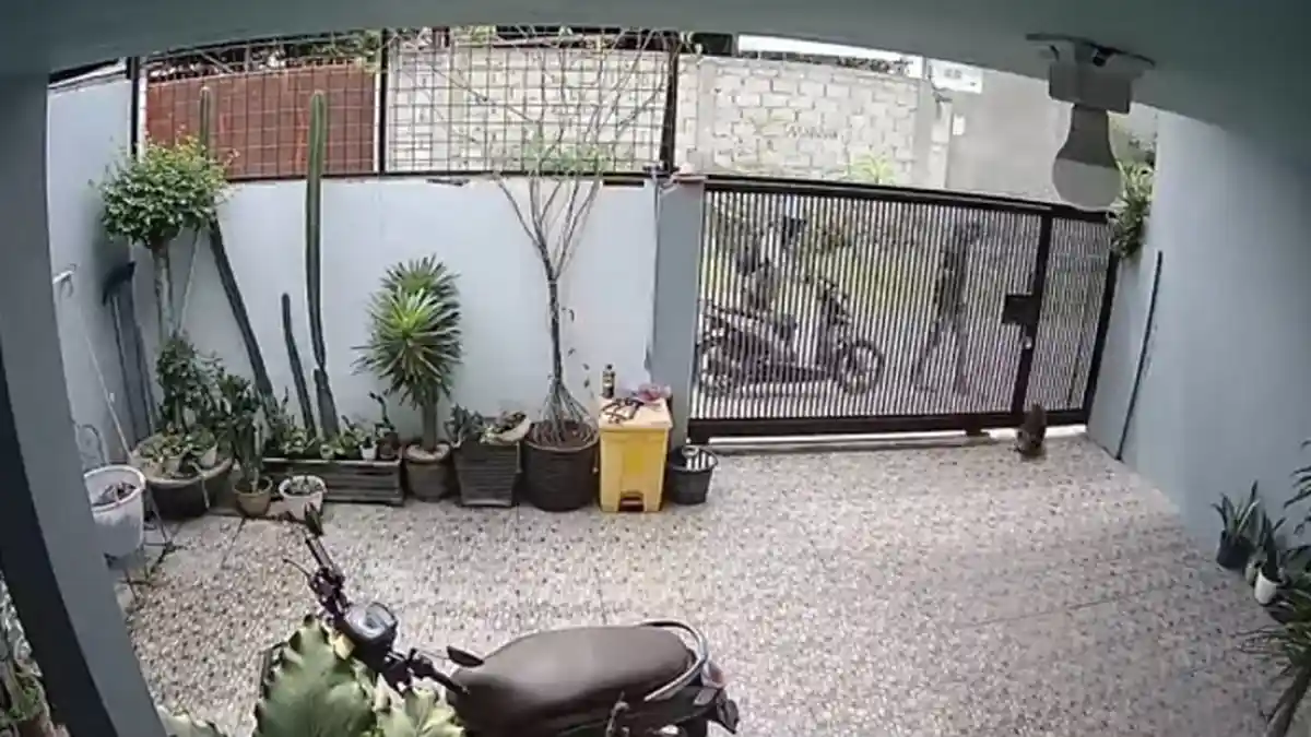 Viral Video Maling Bobol Rumah Kosong di Kota Palu, Aksi Pelaku Terekam CCTV