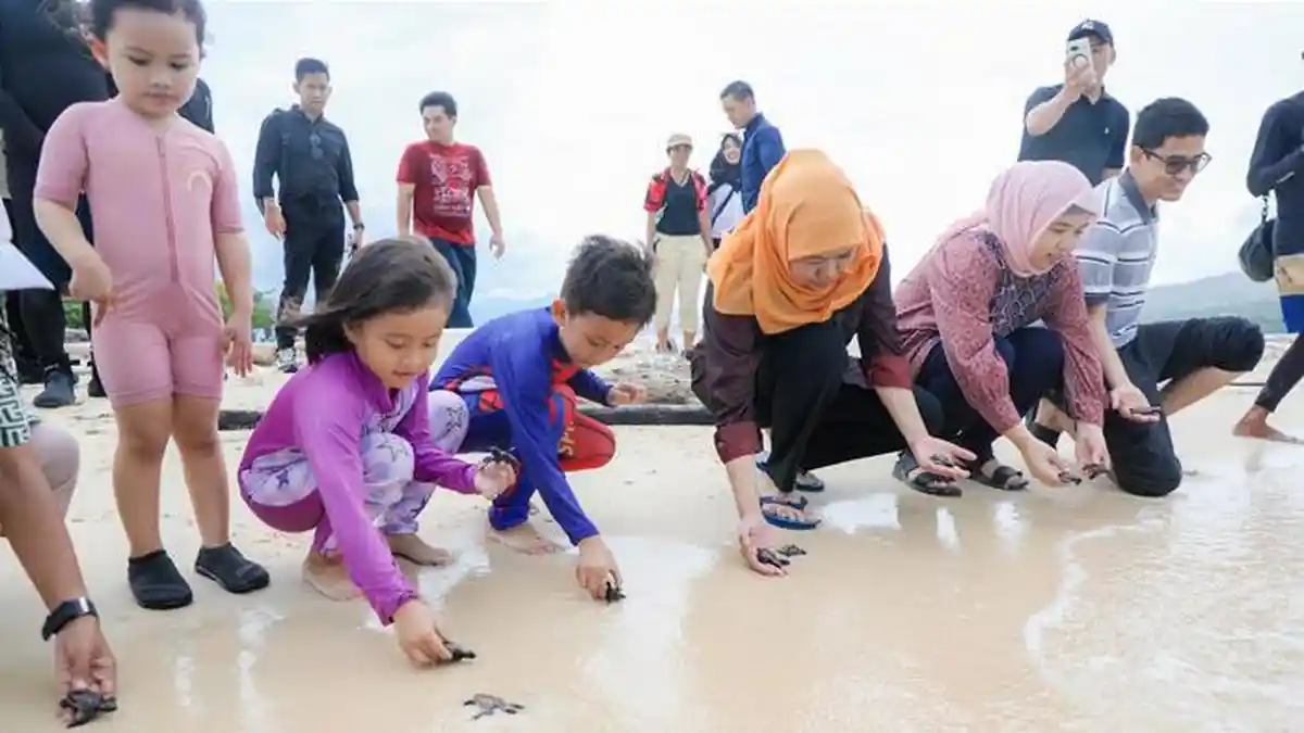Liburan Bersama Keluarga ke Pulau Tabuhan Banyuwangi, Gubernur Khofifah Lepas Puluhan Tukik