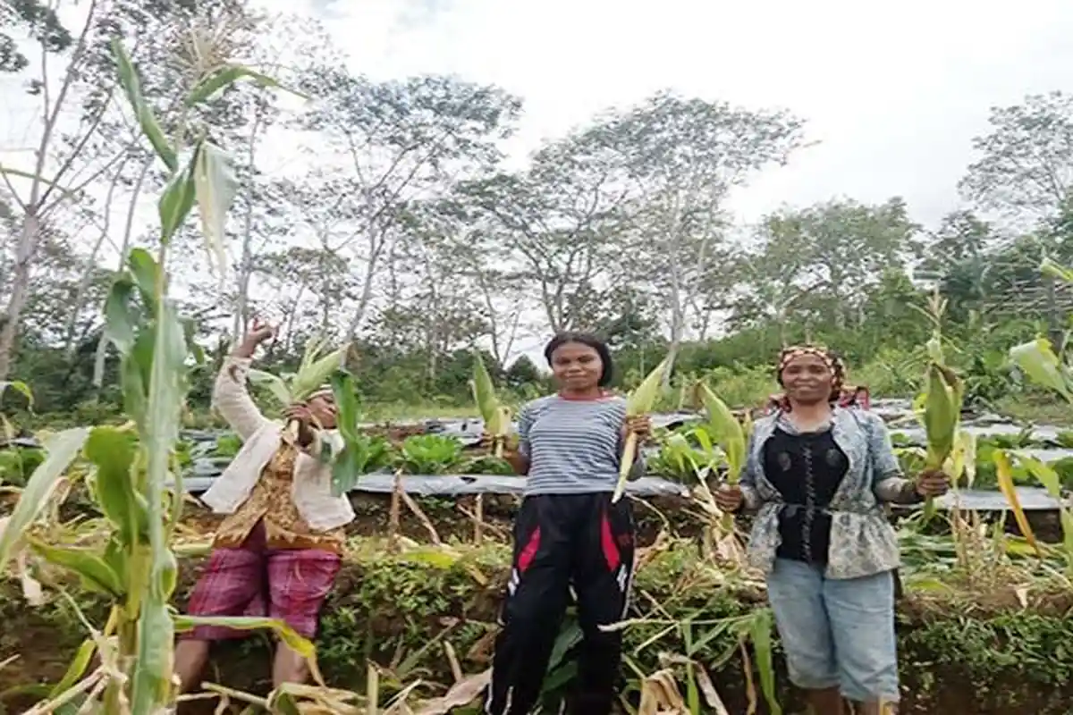 PLN Dorong Partisipasi Perempuan Lewat Program TJSL Budidaya Hortikultura di Poco Leok