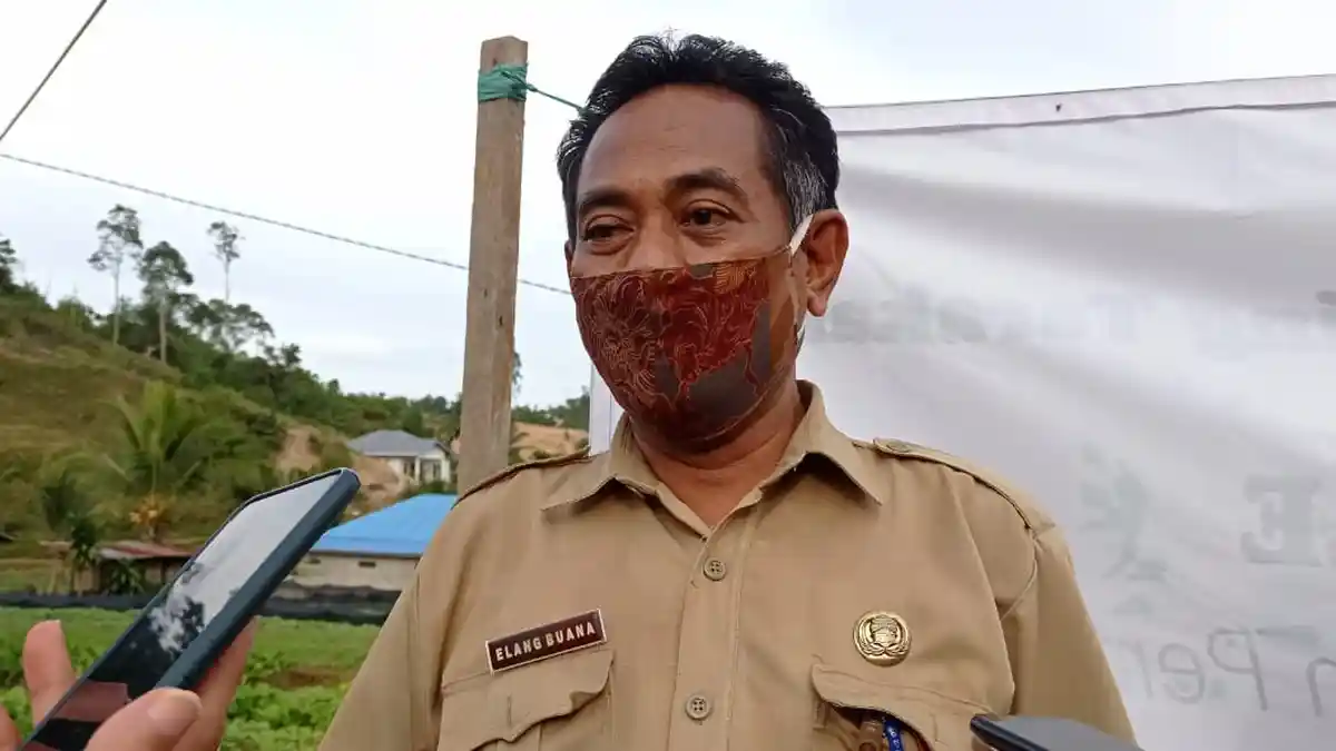 Kurangi Inflasi di Tarakan, Kadis Pertanian Ajak Tanam Bawang Merah, Gandeng BI dan BPTP Kaltim