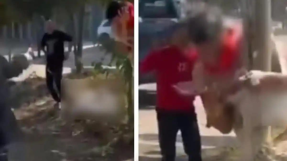 Viral Pengantin Teriak Minta Tolong Usai Pakaiannya Dilucuti dan Diikat ke Tiang Listrik