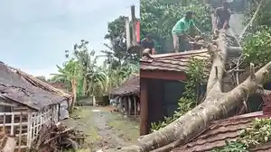 Hujan-Angin-di-Sleman-Picu-Pohon-Tumbang-Tebing-Longsor-hingga-Atap-Rumah-Warga-Rusak.jpg