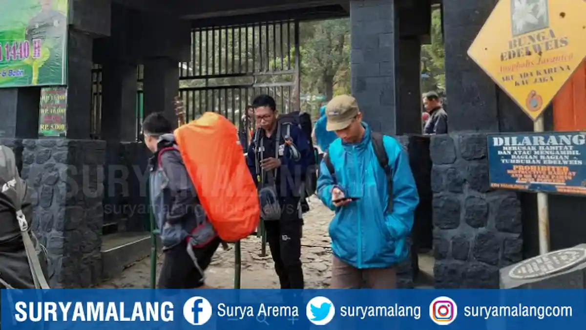 Peringatan Bagi Pendaki Puncak Gunung Lawu, Suhu Dikabarkan Menembus Minus 3 Derajat Celcius
