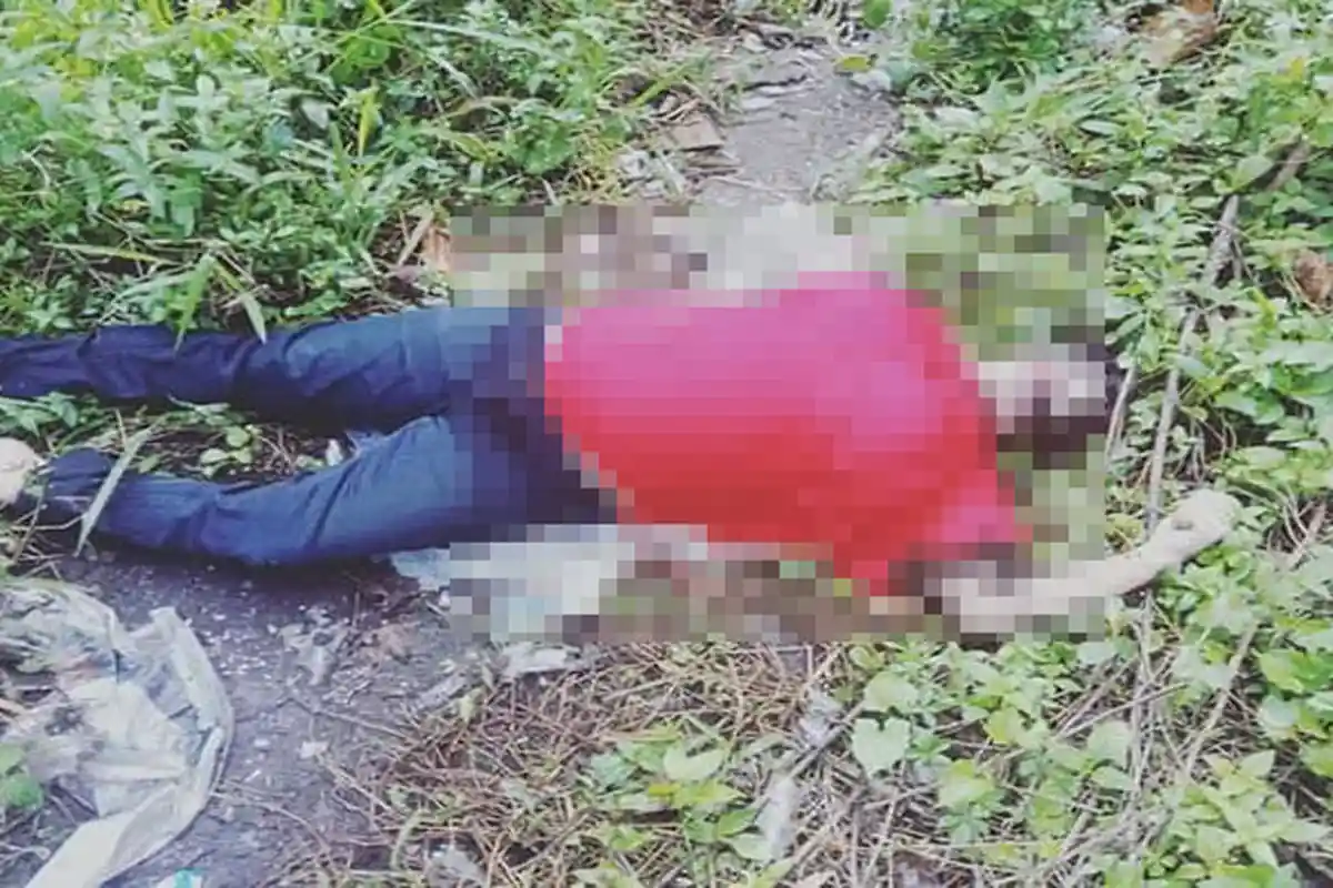 [POPULER PADANG] Mayat Perempuan di Ladang Padi hingga Trik Daftar PPDB Online SMA Padang