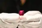Melihat Pesona Batu Ruby Terbesar di Dunia