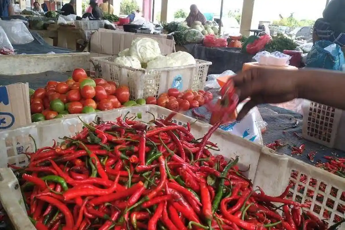 Harga Cabai Merah di Tanjab Timur Makin Pedas, Hari Tembus Rp 100 Ribu