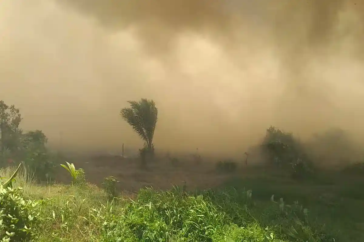 BKSDA Bengkulu - Lampung Tegaskan Karhutla di Nakau Bukan Lahan TWA Bukit Kumayan