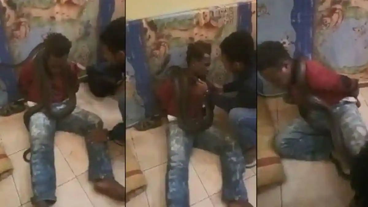 Viral Video Jambret Histeris saat Ular Dimasukkan ke Celana, Polisi yang Lakukan Interogasi Tertawa