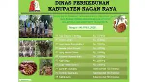 Update-harga-TBS-kelapa-sawit-ditampung-PMKS-di-Nagan-Raya-Selasa-7-4-2026.jpg