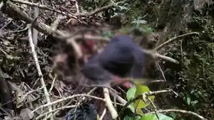 PENEMUAN-JASAD-PEREMPUAN-Penemuan-dya-sering-d-10-kali-sehari.jpg