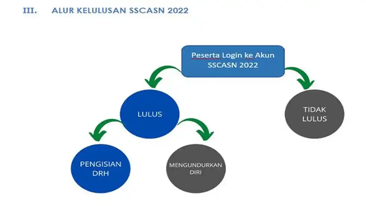 Bagaimana Cara Mengisi DRH PPPK Guru 2022-2023 dan Data Apa Saja Perlu Dimasukan untuk Mengisi DRH
