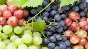 drhealthbenefitscom-via-tribunternate-buah-anggur.jpg