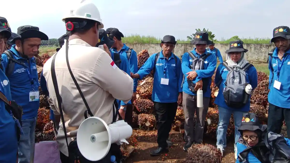 85 Pekebun Siap Tingkatkan Produktivitas Sawit Berkelanjutan Lewat Pelatihan Intensif - Sripoku.com