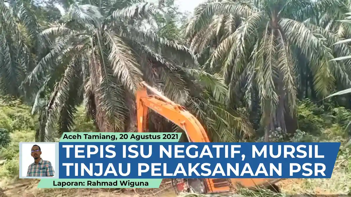 Bank Aceh Syariah Siap Berikan Pembiayaan untuk Petani Sawit