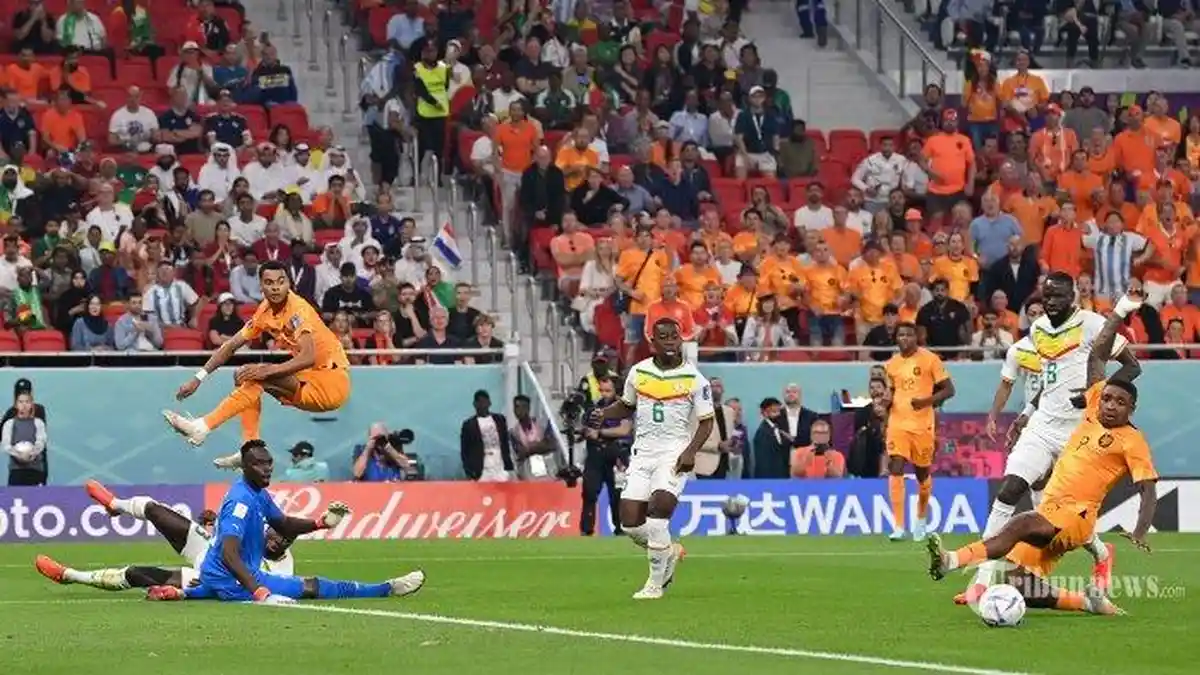 HASIL Belanda vs Senegal Berakhir 2-0 untuk Kemenangan Pasukan Louis Van Gaal