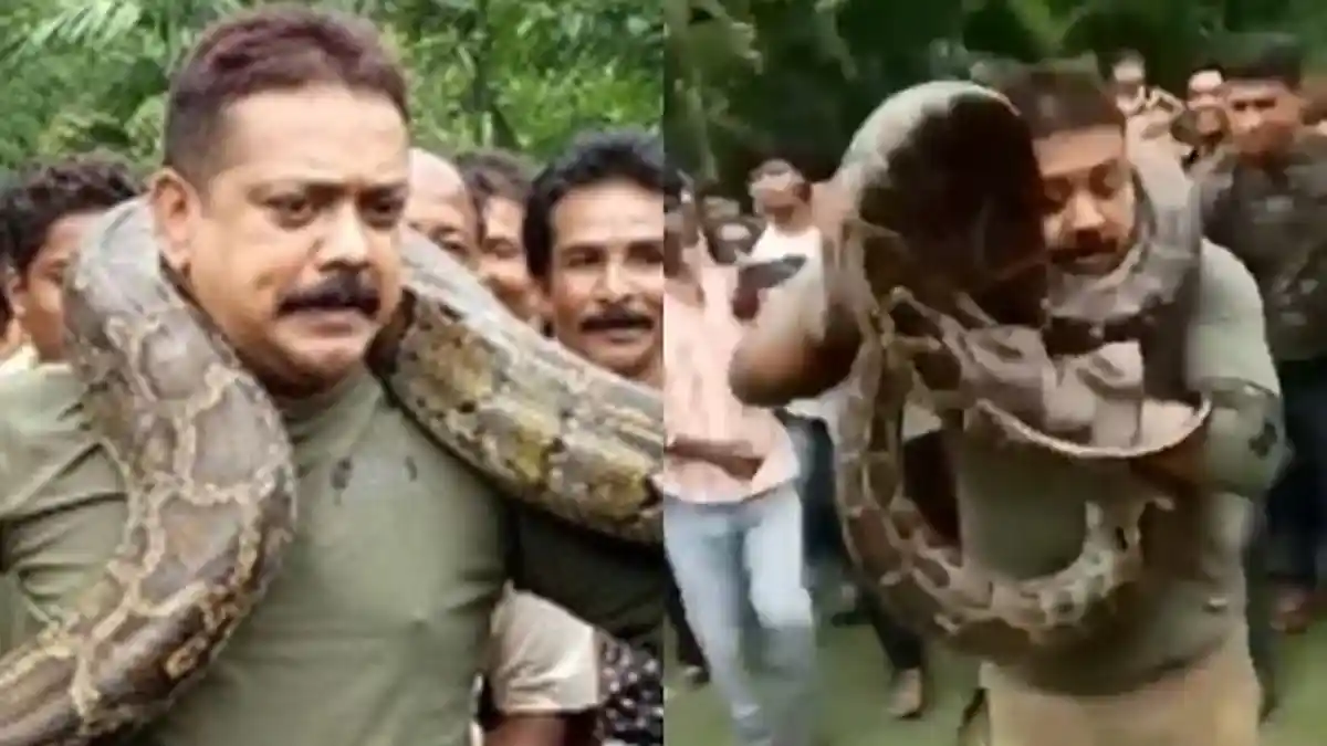 Bermaksud Selfie, Seorang Petugas Hutan Hampir Tewas Dililit Ular Piton Sepanjang 9 Meter