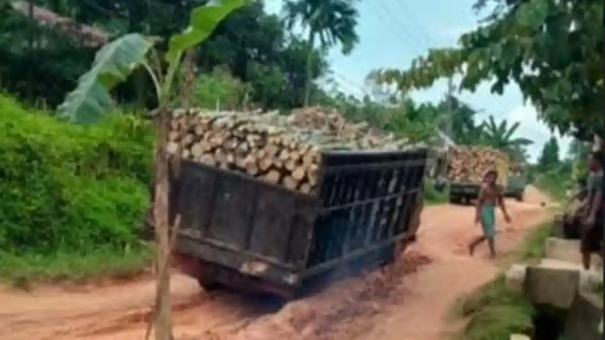 Warga Banyuasin Kembali Tanam Pisang di Jalan,Protes Jalan Rusak Parah