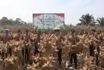Libatkan Petani Lokal, Polres Bengkulu Selatan Panen Jagung 10 Hektare