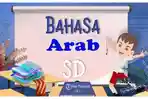 Arabic-solution-for-trial-final-test-for-grade-3.jpg