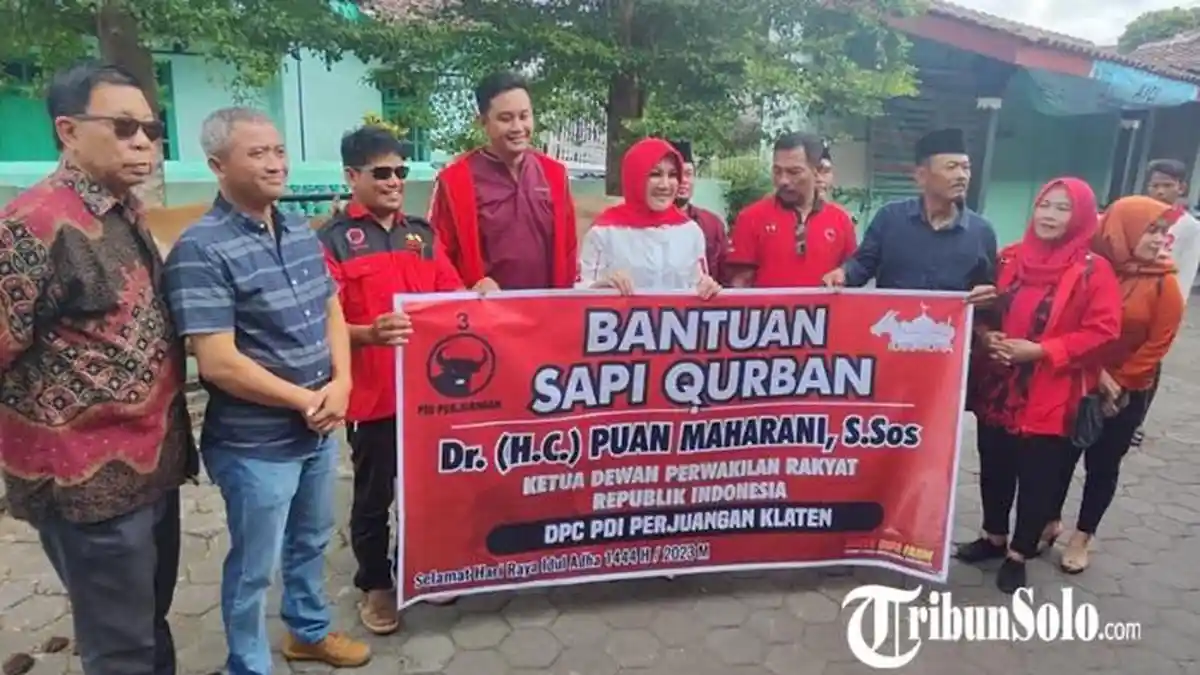 Sri Mulyani Salurkan Hewan Kurban untuk Klaten dari Puan Maharani dan Anggota DPD RI Casytha