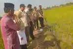 tewas-kena-jebakan-tikus.jpg