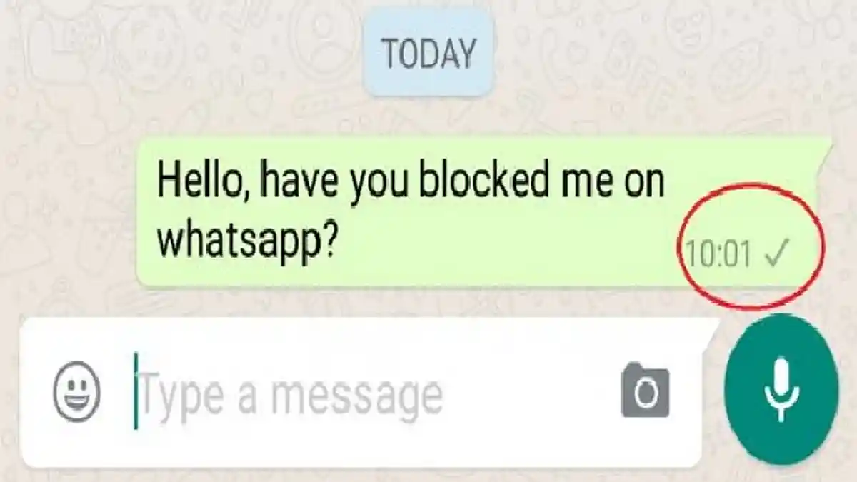 Cara Whatsapp Centang Satu Meski Sudah Dibaca, Seolah Offline