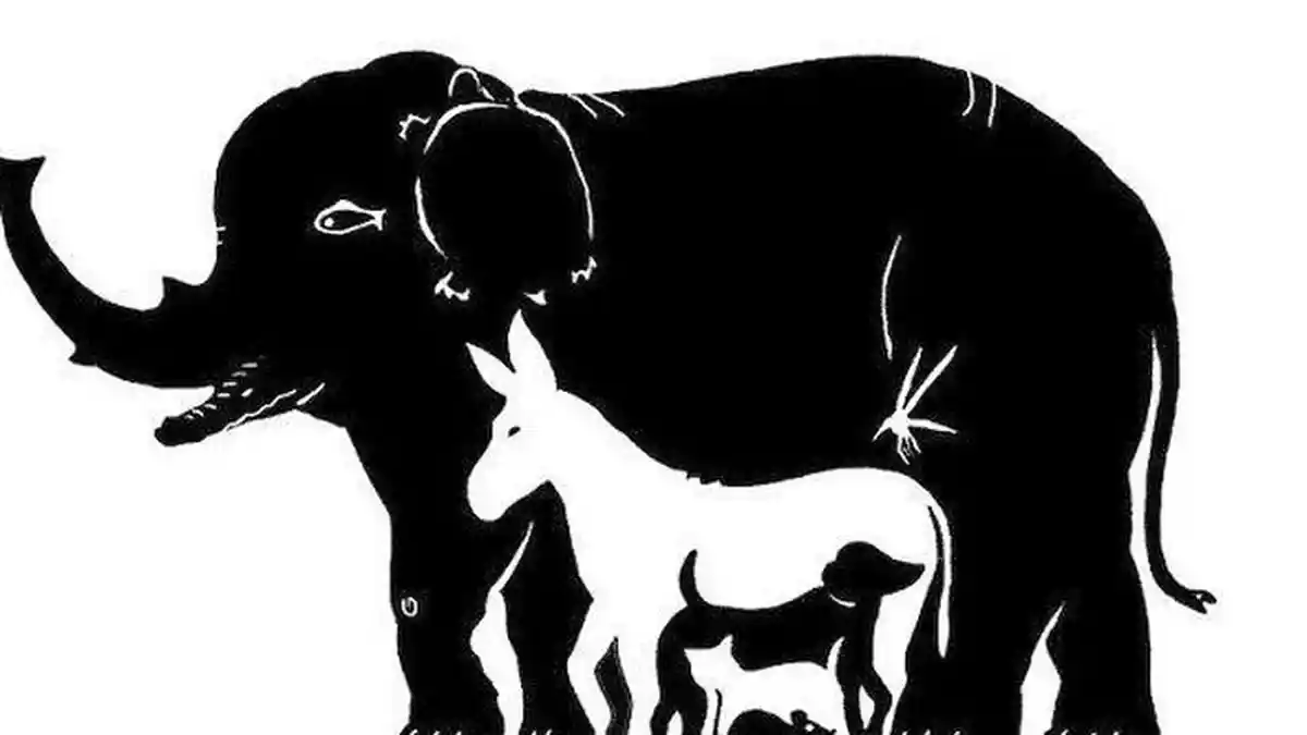 Tes Kepribadian: Gambar Hewan yang Dipilih Tentukan Jati Diri Tersembunyi Kamu