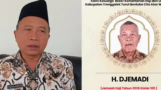 Tribun