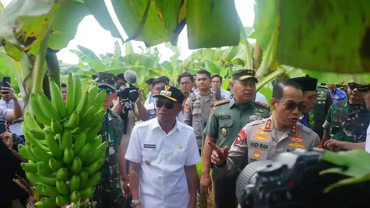 Irjen Andi Rian Ryacudu Djajadi Urus Pisang Cavendish, Mayjen Bobby Rinal Makmun Sawah Tadah Hujan
