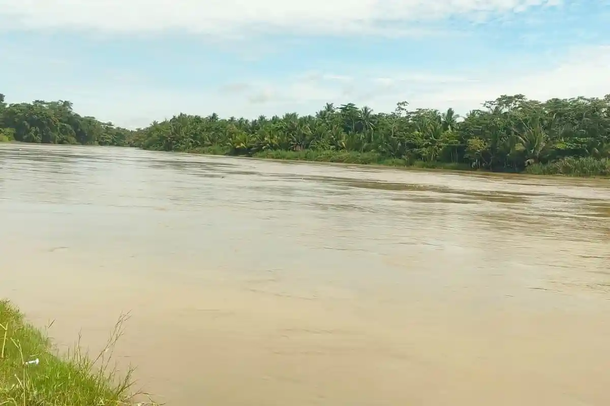 Siaga Banjir di Pangandaran, Debit Sungai Citanduy Meningkat Drastis, Permukiman dan Sawah Terendam