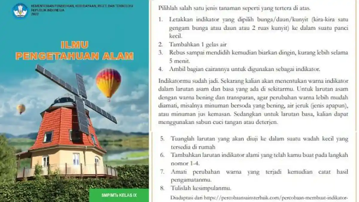 Kunci Jawaban IPA Kelas 9 Kurikulum Merdeka Halaman 126: Mengamati Larutan Asam Basa