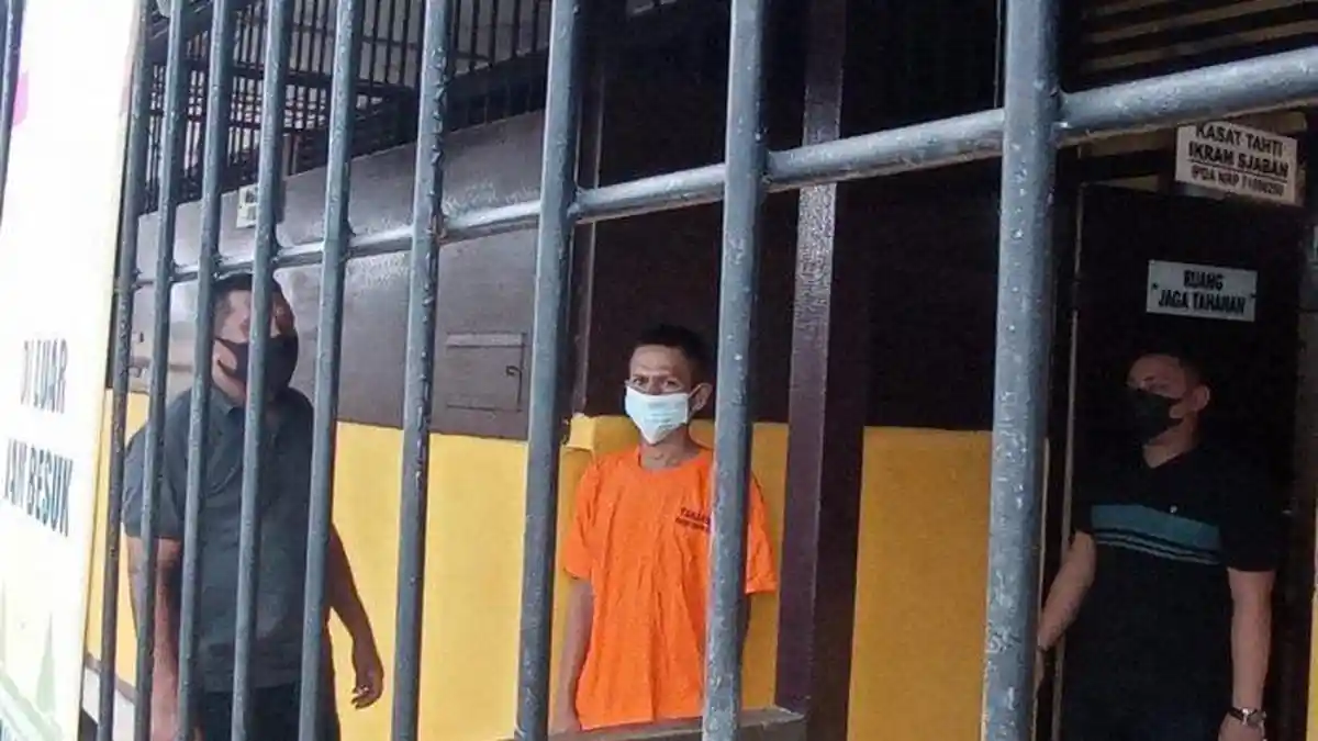 Pencabul Bocah di Manukwari Diamankan, Korban Alami Trauma