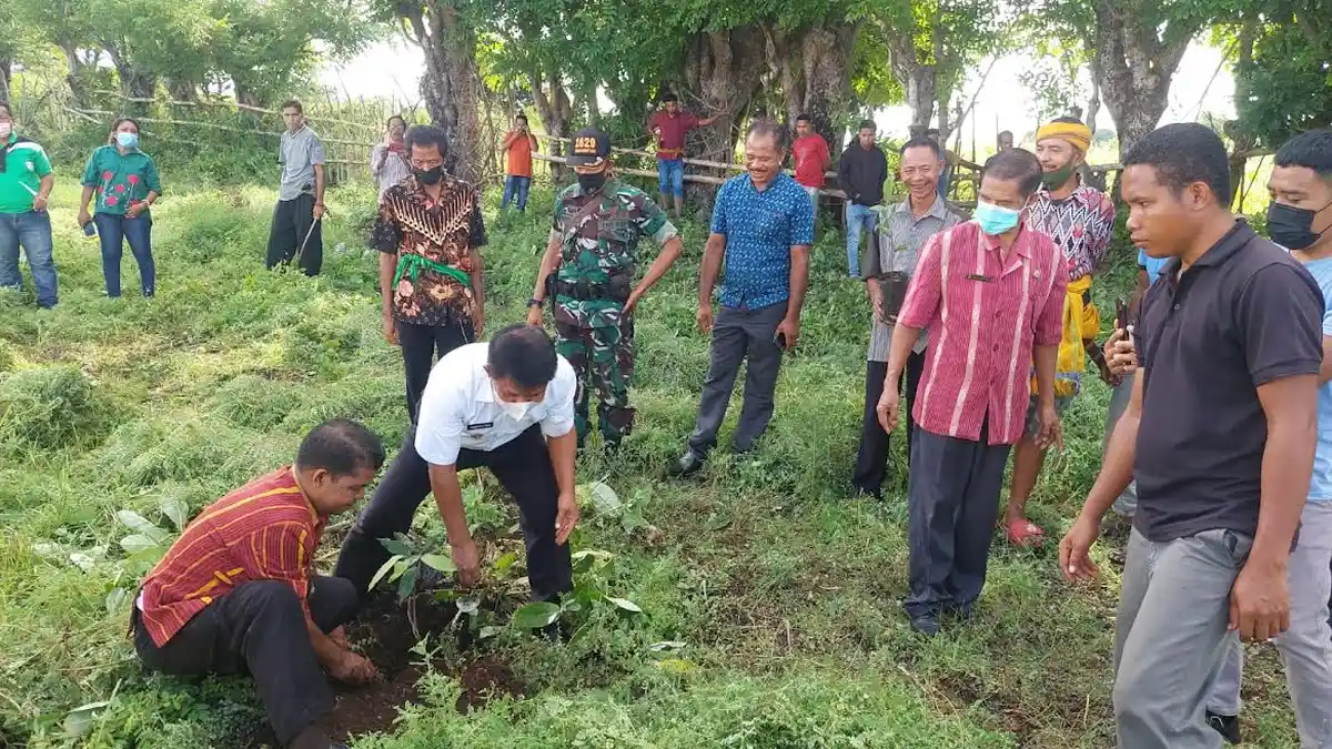 Bupati Kornelius Kodi Mete Tanam Perdana Anakan Pohon di Loura Sumba Barat Daya