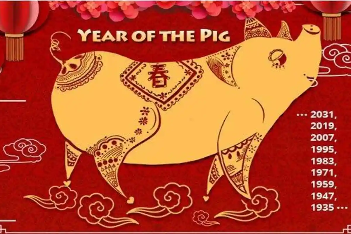 RAMALAN Shio Babi 2025 Tahun Ular Kayu Imlek 2576 Kongzili Lengkap Nasib Asmara, Keuangan dan Karir