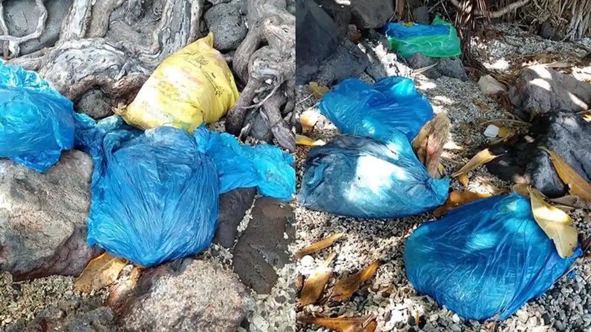 Sejumlah Ikan Mati dan Karung Berisi Diduga Sianida Ditemukan di Pesisir Pantai Kiaeng Batu Sitaro - Tribunmanado.co.id