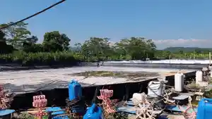 20260612_tambak-udang-batang.jpg