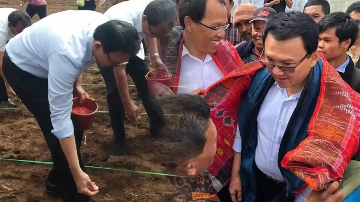Ahok Bicara Bisnis Pertanian dengan Warga Humbahas, TONTON VIDEONYA. .