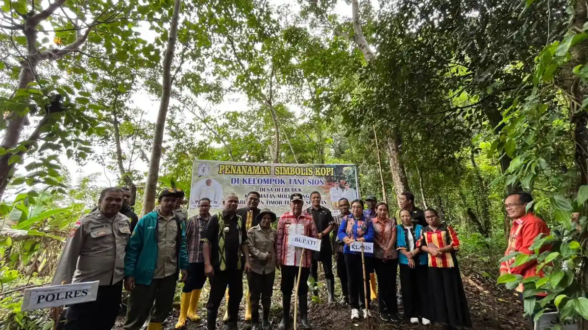 Komitmen Kembangkan Komoditas Kopi, Pemda TTS dan Sinode GMIT Teken Kerjasama