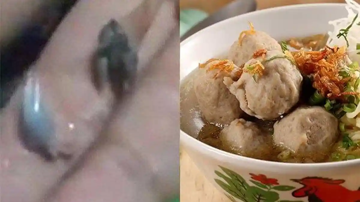 Fakta Warung Bakso Dihebohkan Bakso Isi Kaki Tikus Setelah 2 Tahun Jualan, Pembeli Ini Minta Maaf