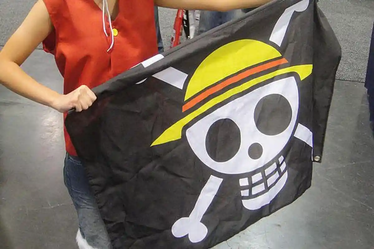 Makna Bendera One Piece dan Penjelasan Pakar Hukum Jika Mengibarkannya