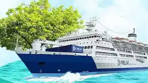 Ilustrasi-Kapal-Pelni-1.jpg