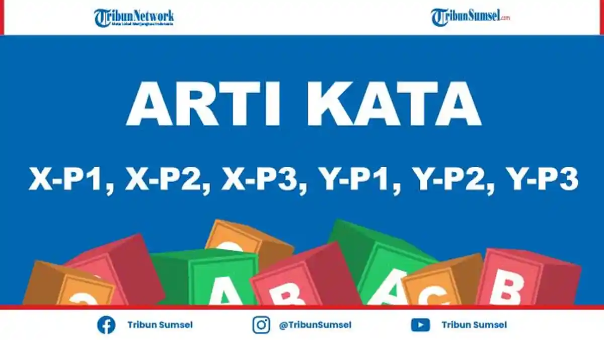 Arti Kode X-P1, X-P2, X-P3, Y-P1, Y-P2, Y-P3 Pada Ujian Kompetensi PPPK Guru Honorer 2021 Tahap II