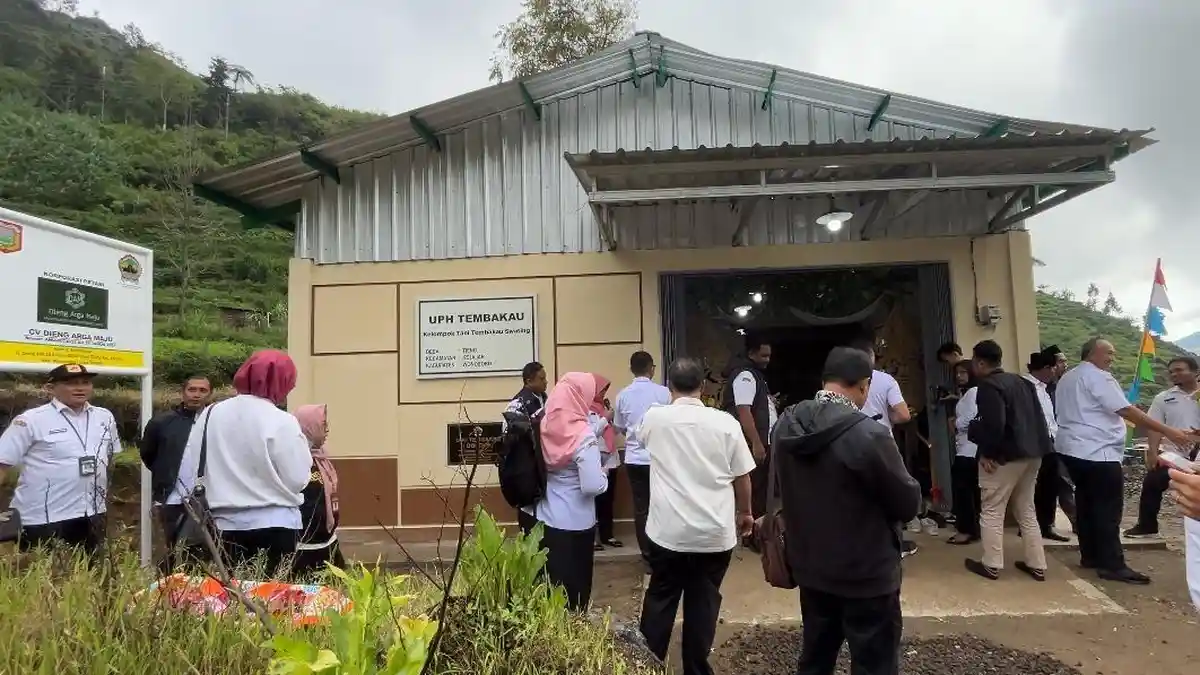 UPH dan Korporasi Tembakau Swating Wonosobo Resmi Beroperasi, Produk Unggulannya Cerutu dan Garangan