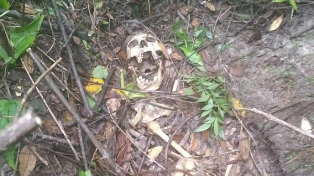 Petugas Belum Berhasil Indentifikasi Kerangka yang Ditemukan di Lereng Merapi