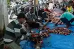 Panitia Bersiap Membagikan Daging Kurban Idul Adha 1441 H Aceh
