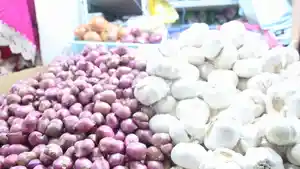 20250327-bawang.jpg