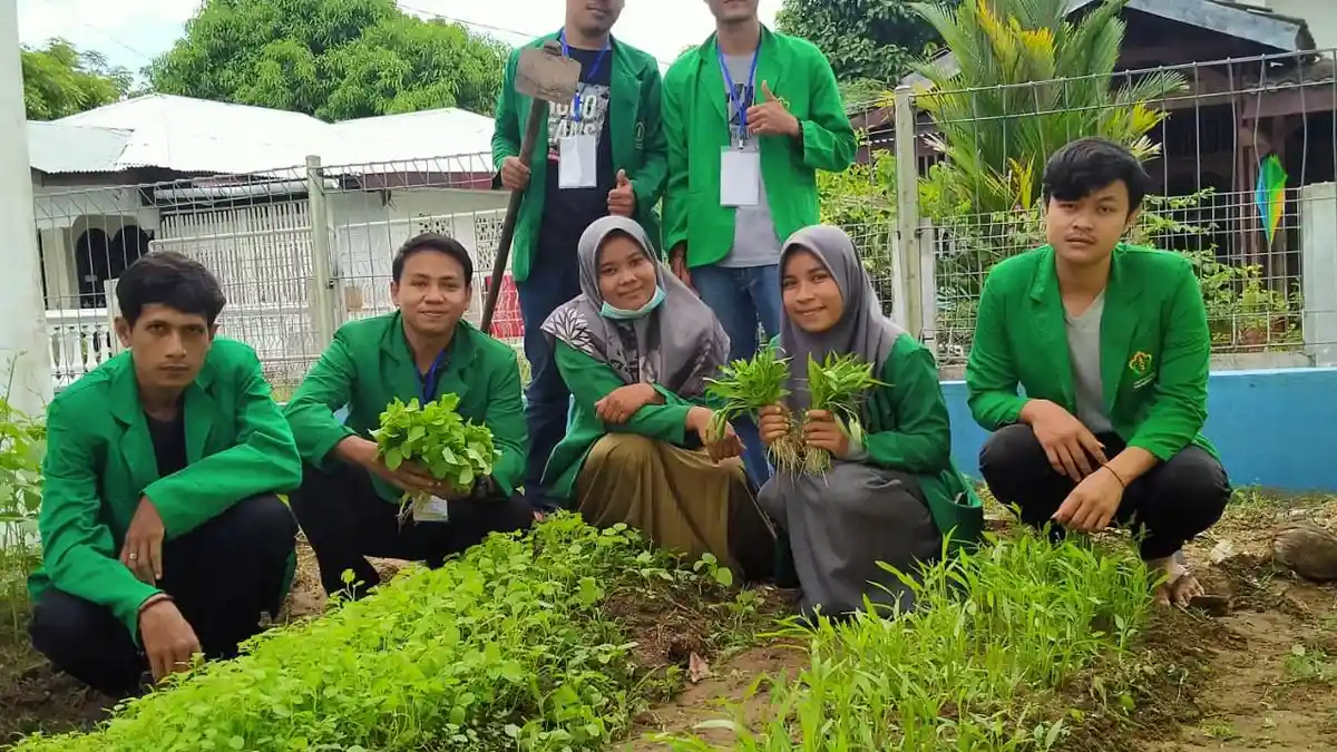 Manfaatkan Lahan Sempit, Mahasiswa KKN Unimal Demplot Tanam Sayur Organik