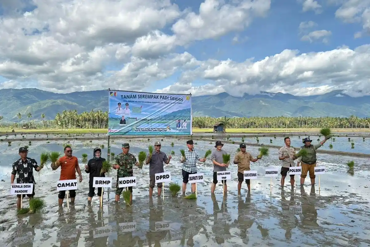 Bupati Sigi Dorong Penguatan Benih Unggul dan Pemasaran Petani