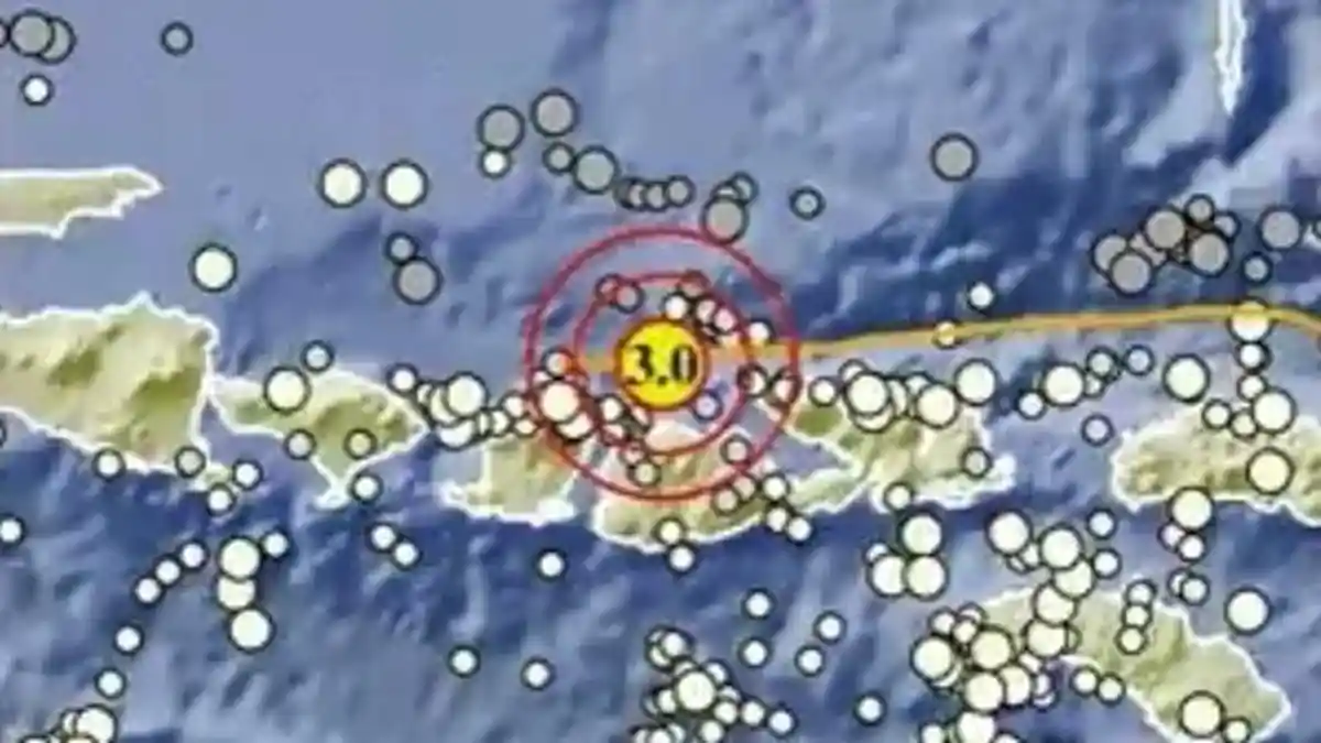Gempa Bumi Hari Ini Sabtu 15 Februari 2025, Berikut Info BMKG
