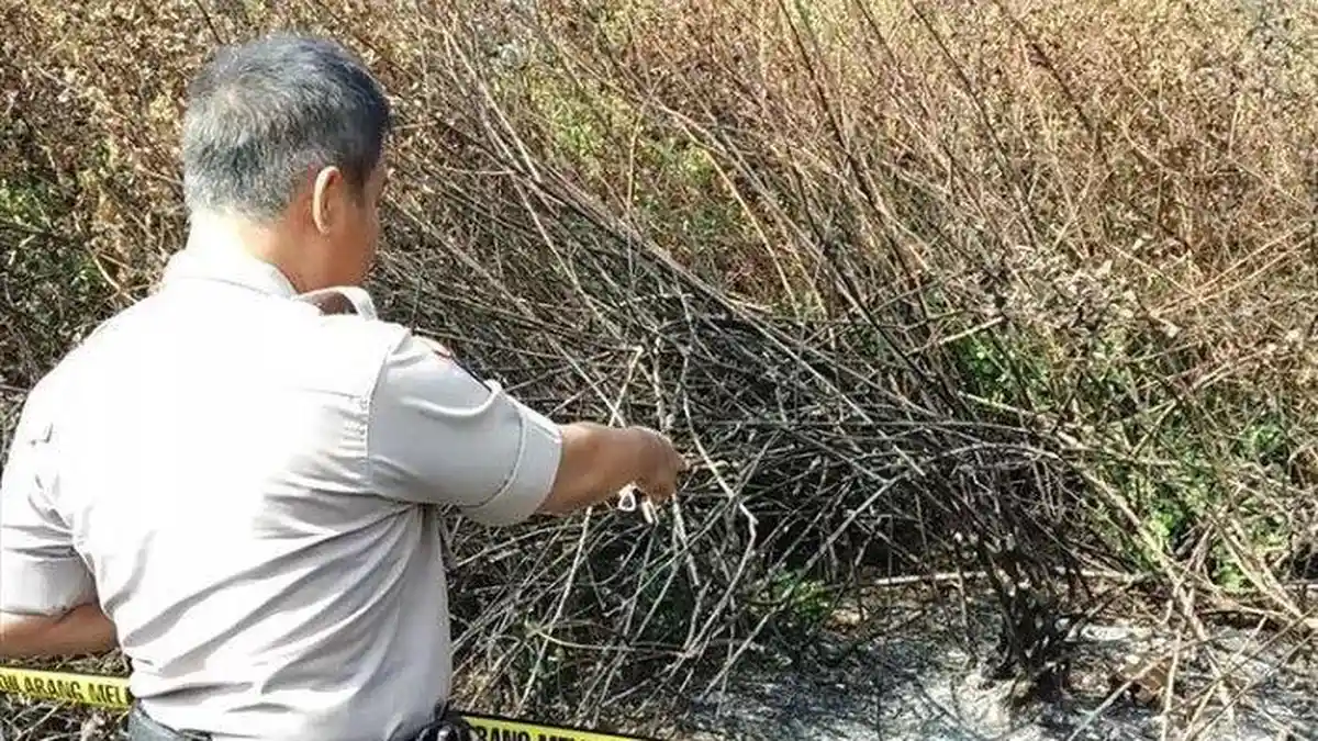 Polisi Periksa 4 Saksi Terkait Temuan Tulang Belulang Manusia di Jakarta Utara